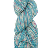 Juniper Moon Farm - Patagonia Organic Merino Hand Paints (#1005 Tahiti)