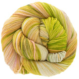 Dream In Color - Smooshy Cashmere (Guava Nice Day 759)