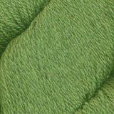 Juniper Moon Farm - Patagonia Organic Merino (#105 Wasabi)