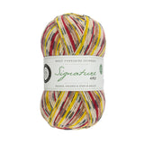 Berroco - West Yorkshire Spinners (840 Goldfinch)